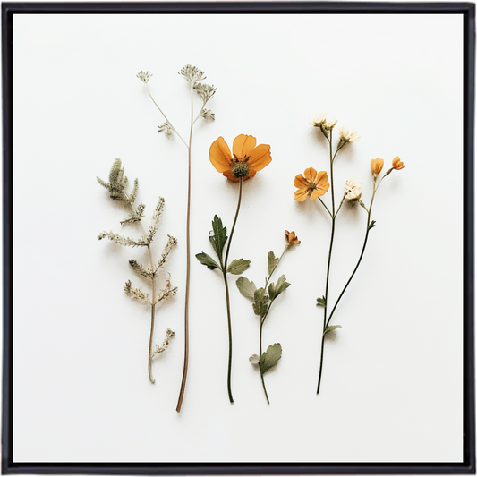 FESTOON III | Floral Wall Decal Australia – Beautiful Flower Art for Your Walls