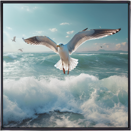 GULL'S QUEST | Australian Animal Artwork for Every Style and Space