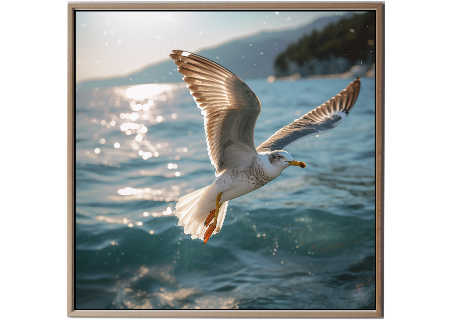 Sea Gull Gaze