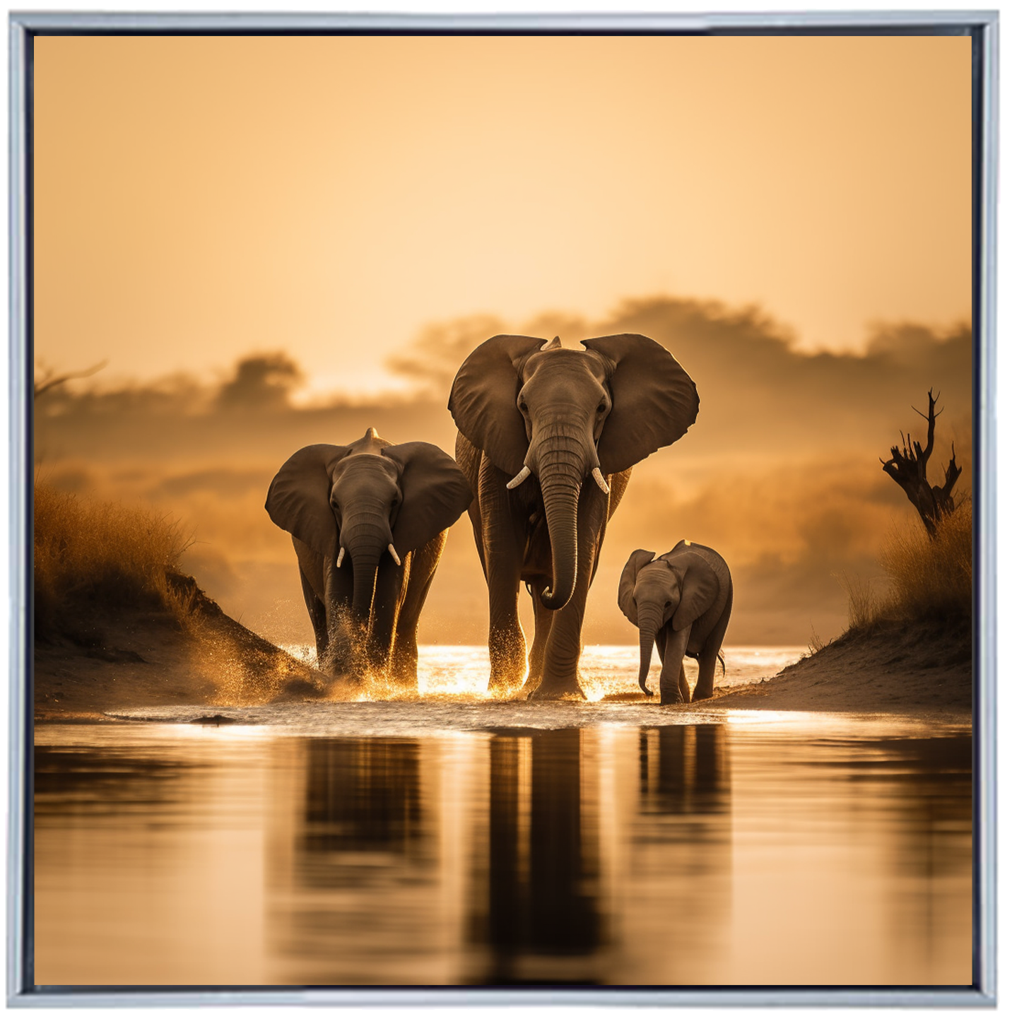 BUSHVELD KING I