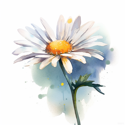 DAISY FLOWR I