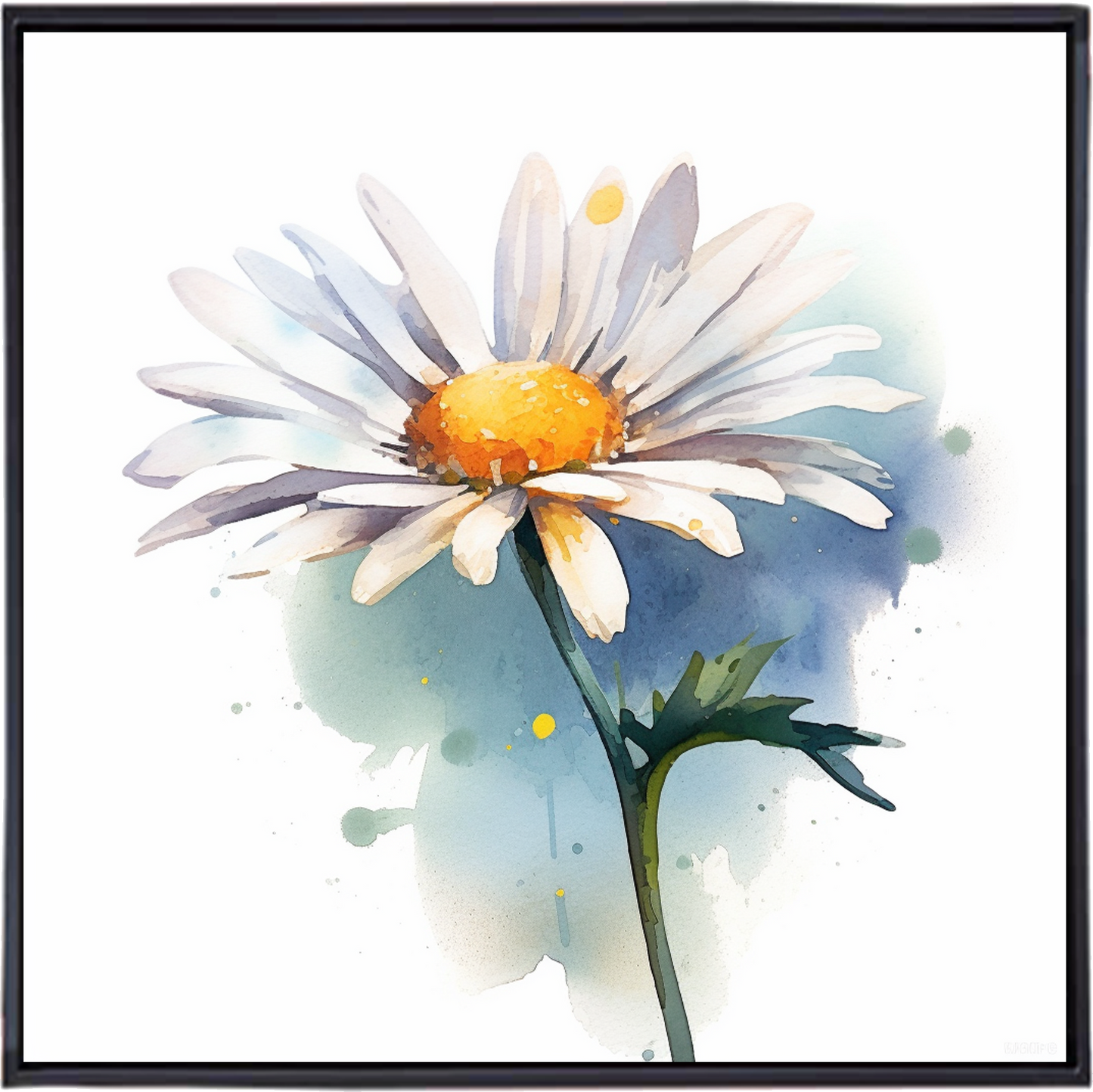 DAISY FLOWR I