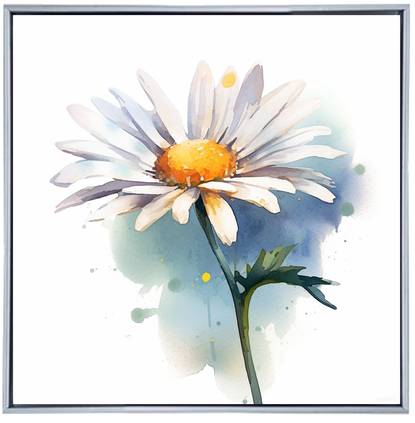 DAISY FLOWR I