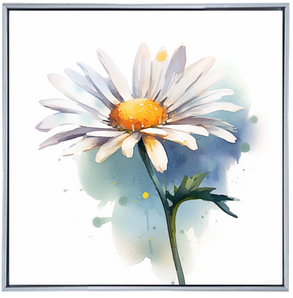 DAISY FLOWR I