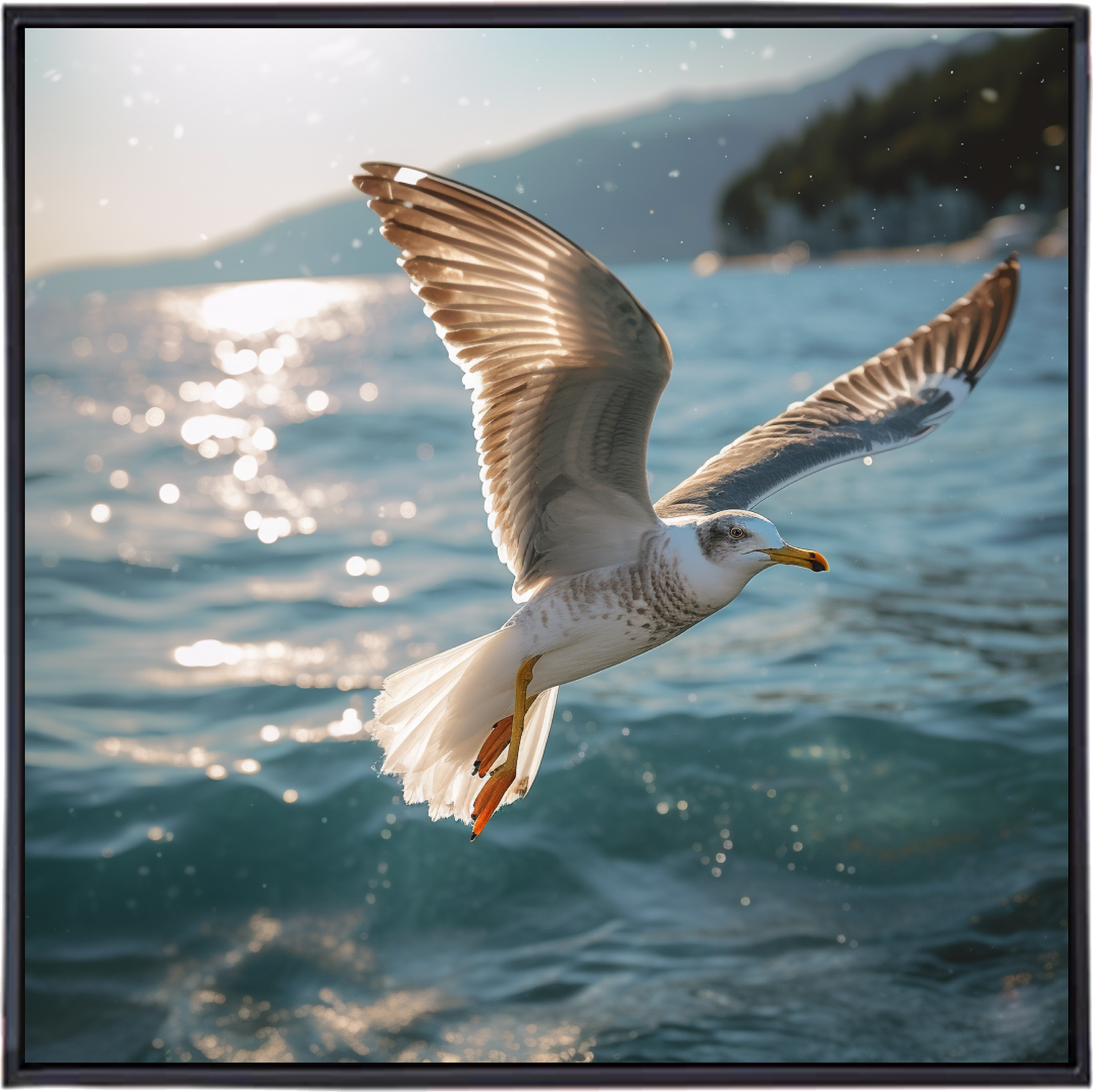 GULL'S GAZE II