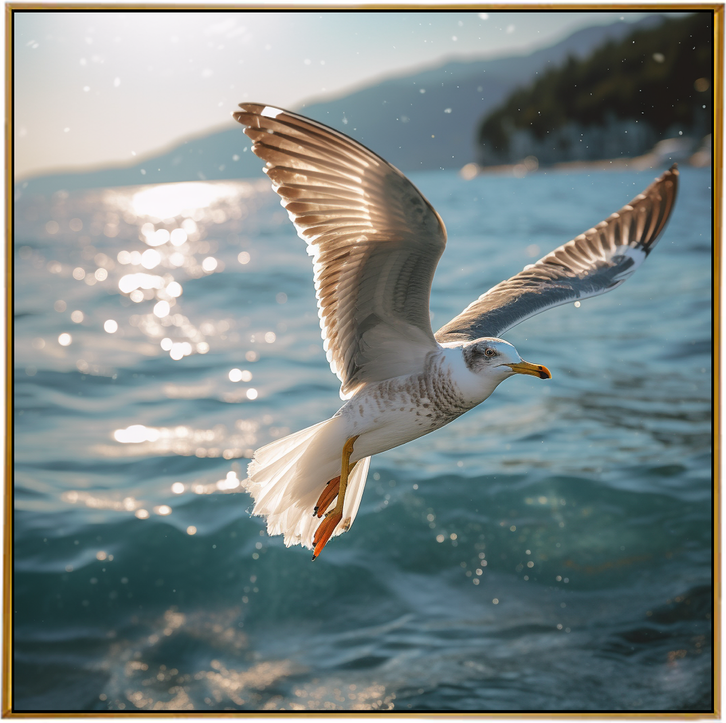 GULL'S GAZE II