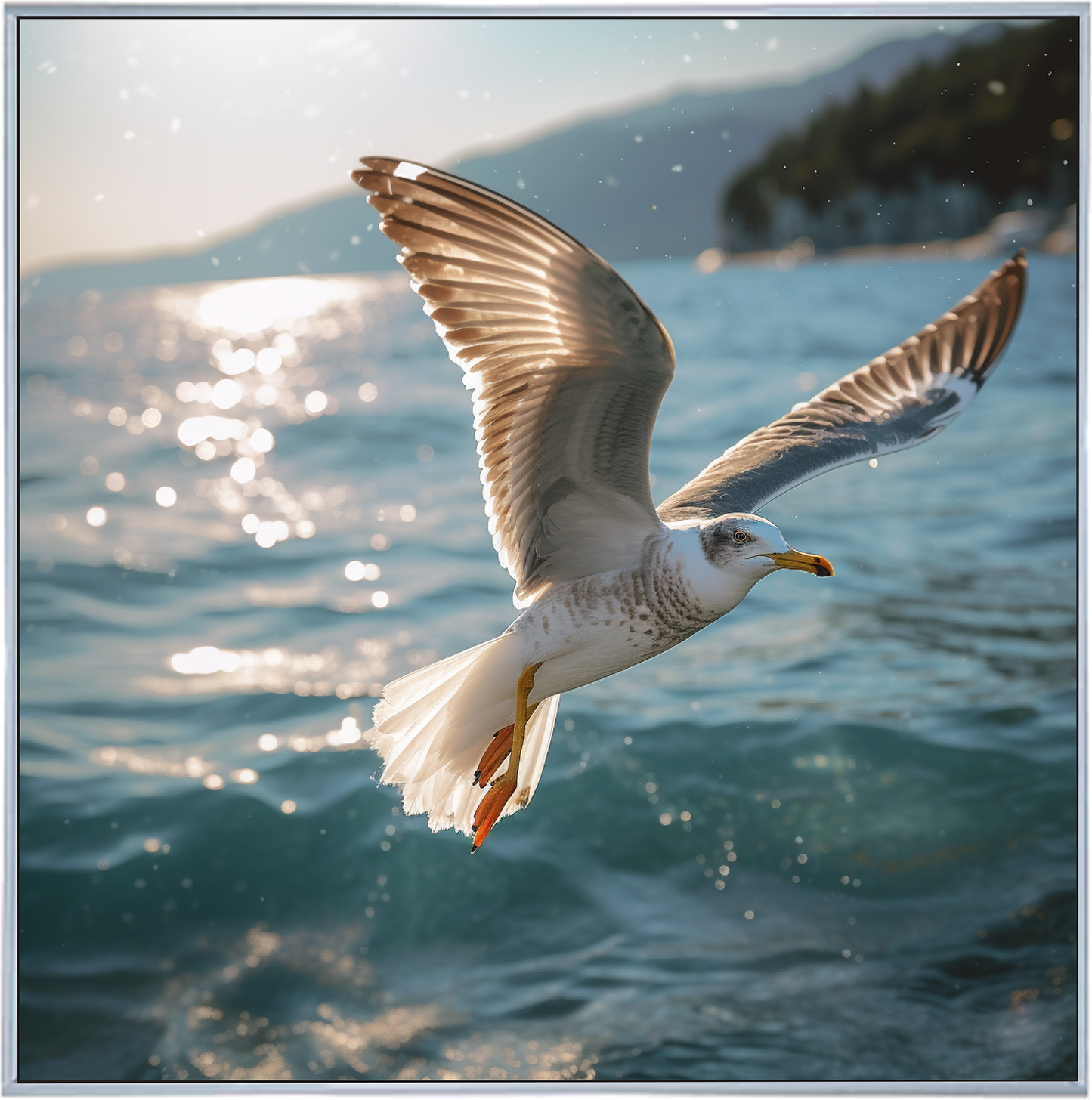 GULL'S GAZE II