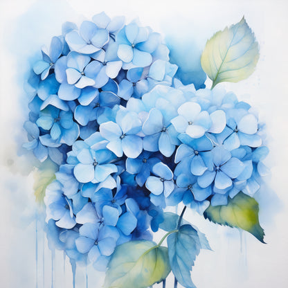 HYDRANGEA I