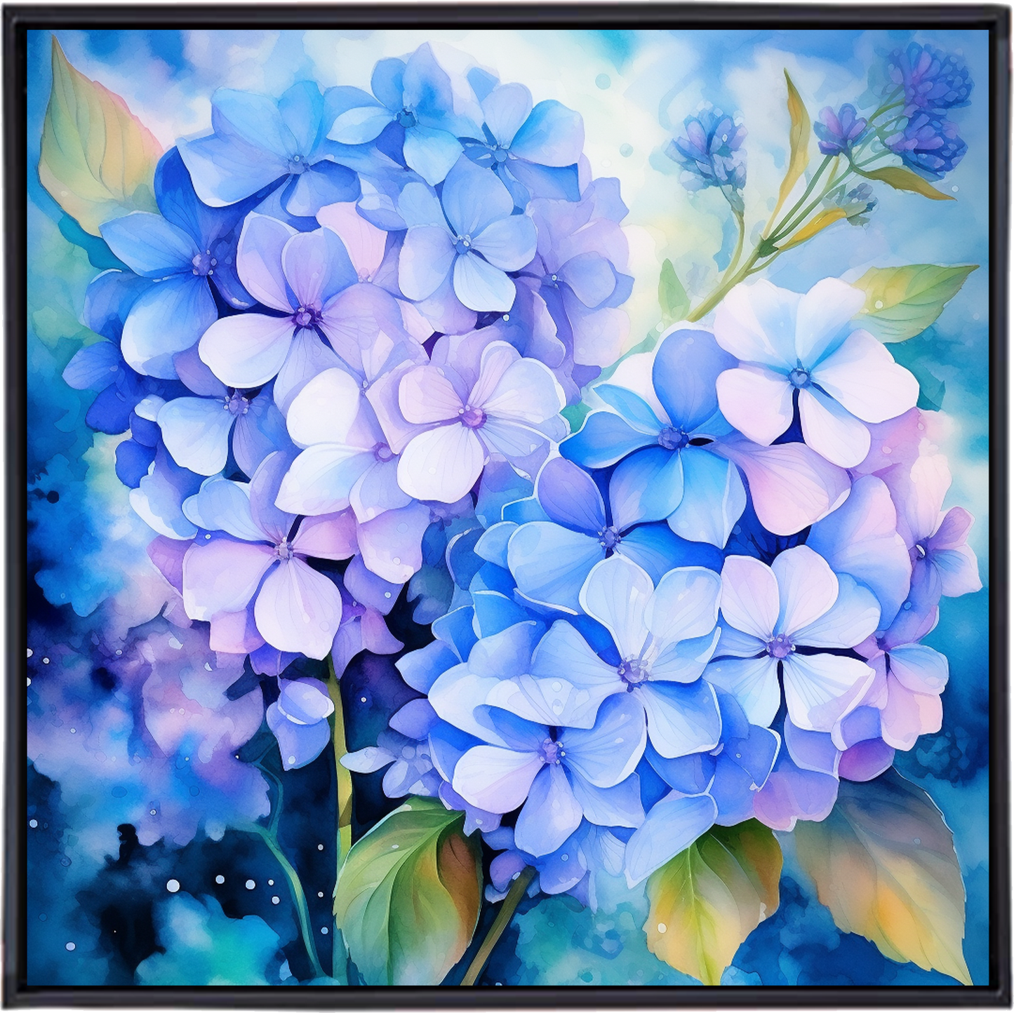 HYDRANGEA II