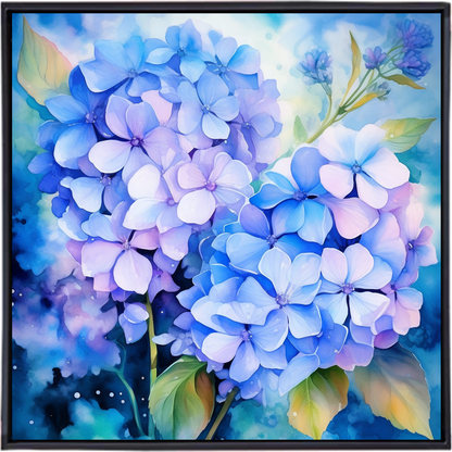 HYDRANGEA II