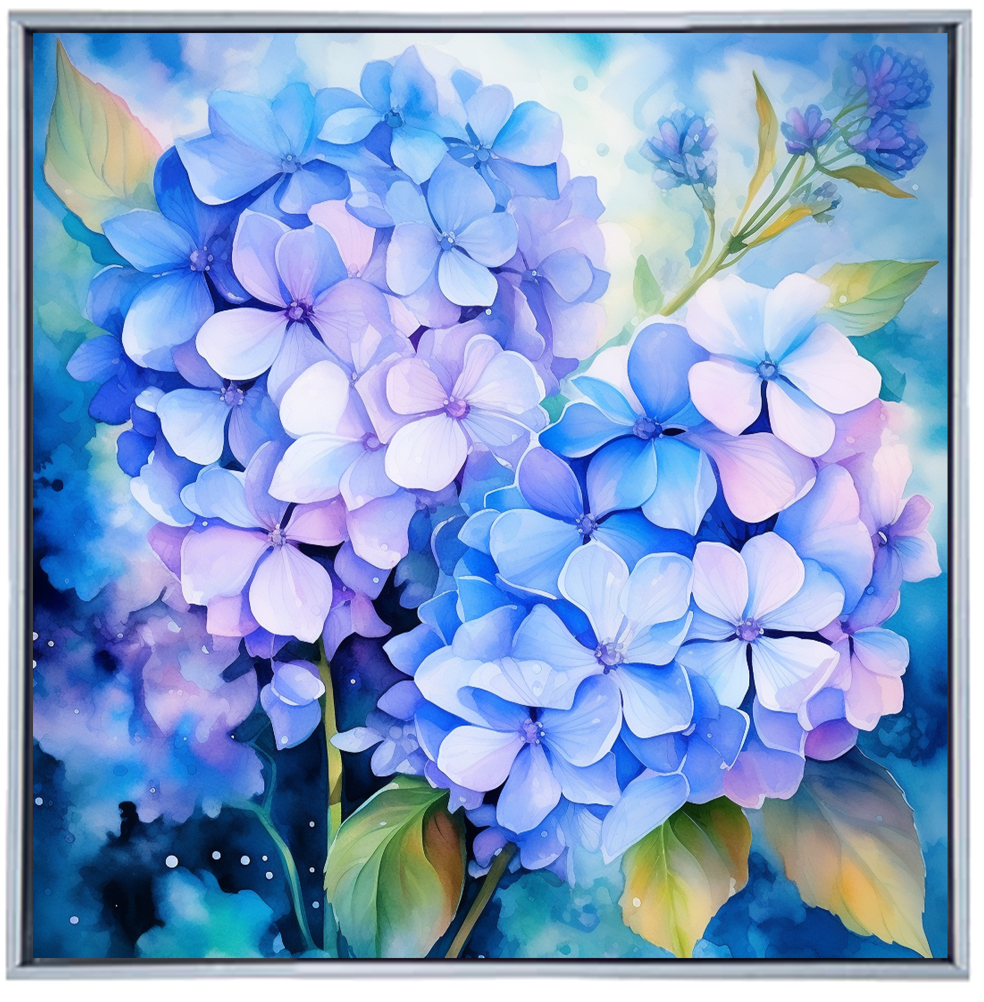 HYDRANGEA II