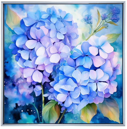 HYDRANGEA II