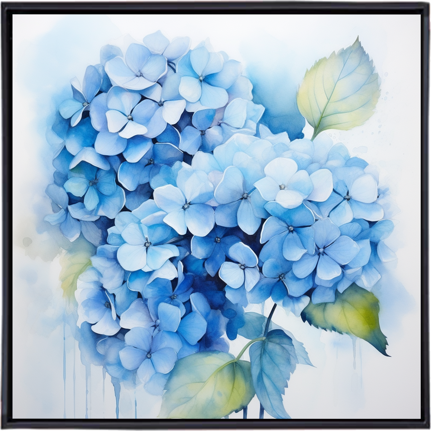 HYDRANGEA I