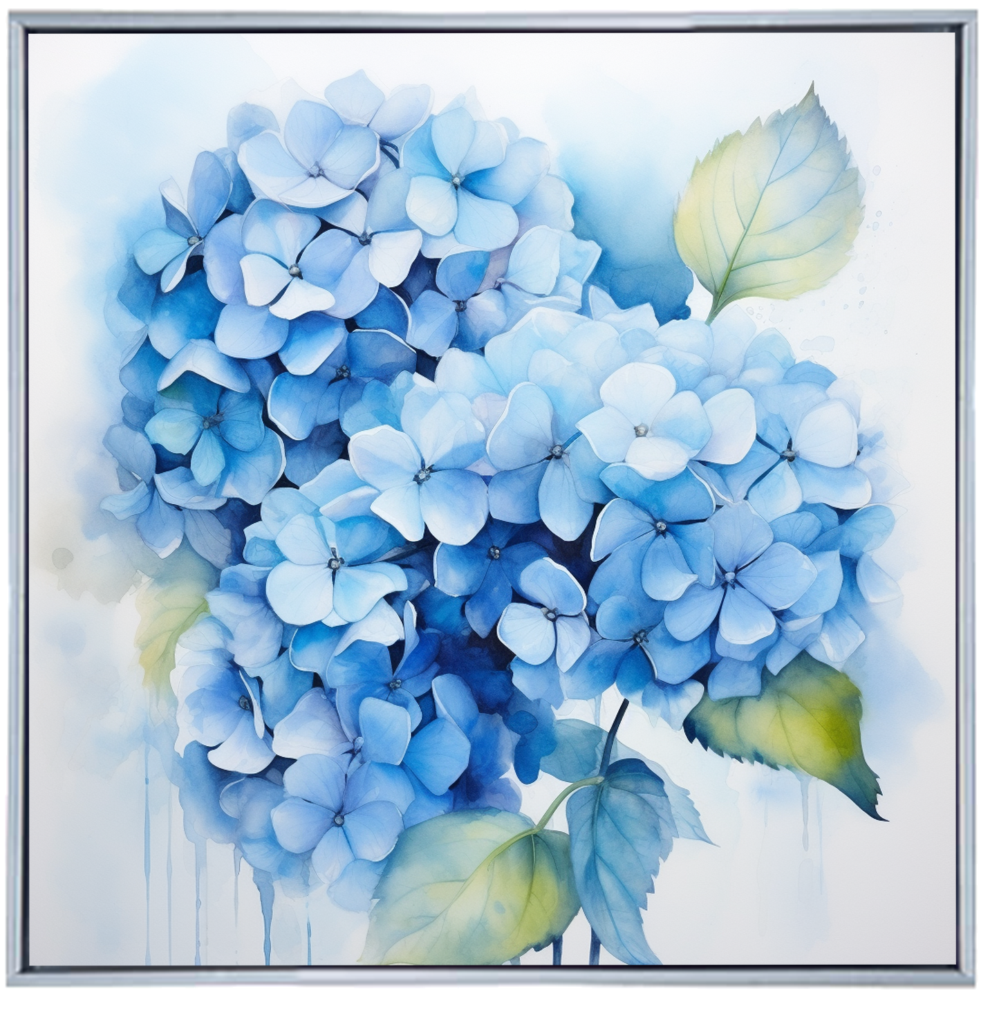 HYDRANGEA I