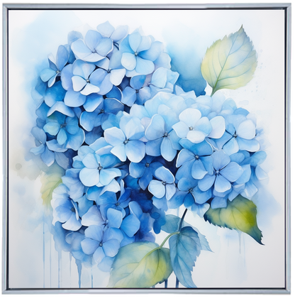 HYDRANGEA I
