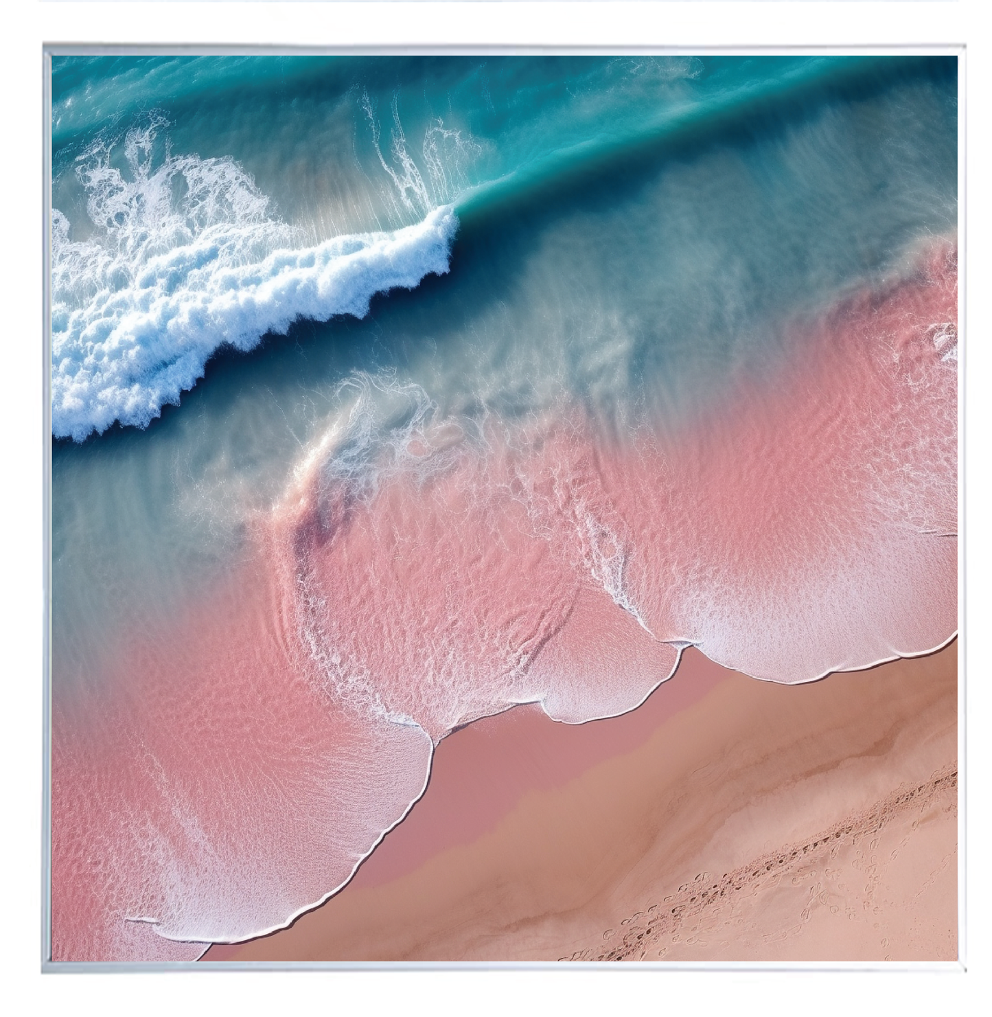 OCEAN'S BLUSH
